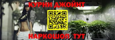 прущие крисы Новозыбков