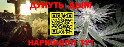 прущие крисы Новозыбков