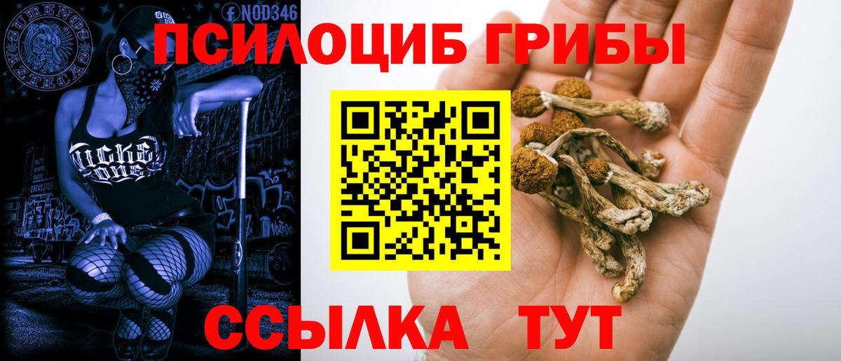 Советский  где купить наркоту  Вход с VPN  Псилоцибиновые грибы GOLDEN TEACHER 